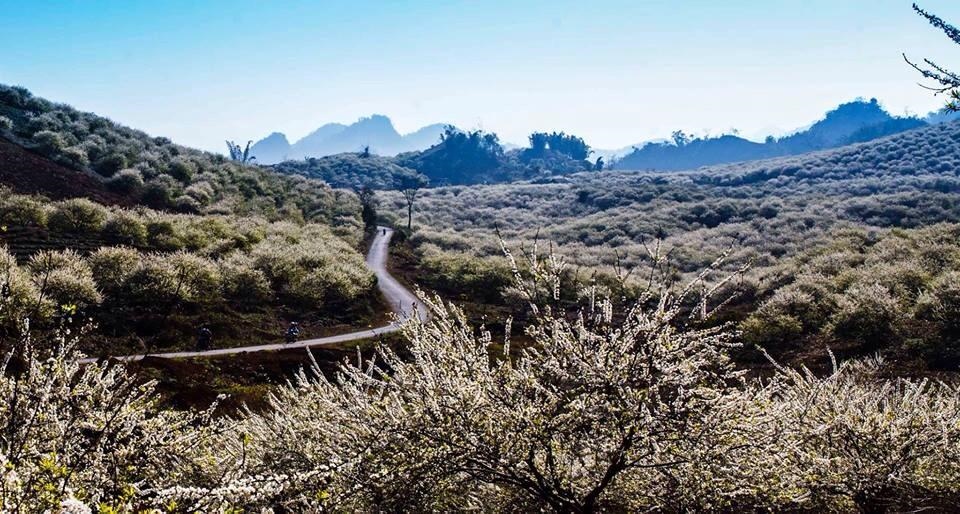 Tour Gép 30/4  , trọn đoàn thứ 7 chủ nhật hàng tuần , tất cả các ngày trong năm 
