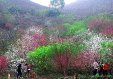   Tour Gép 30/4  , trọn đoàn thứ 7 chủ nhật hàng tuần , tất cả các ngày trong năm 