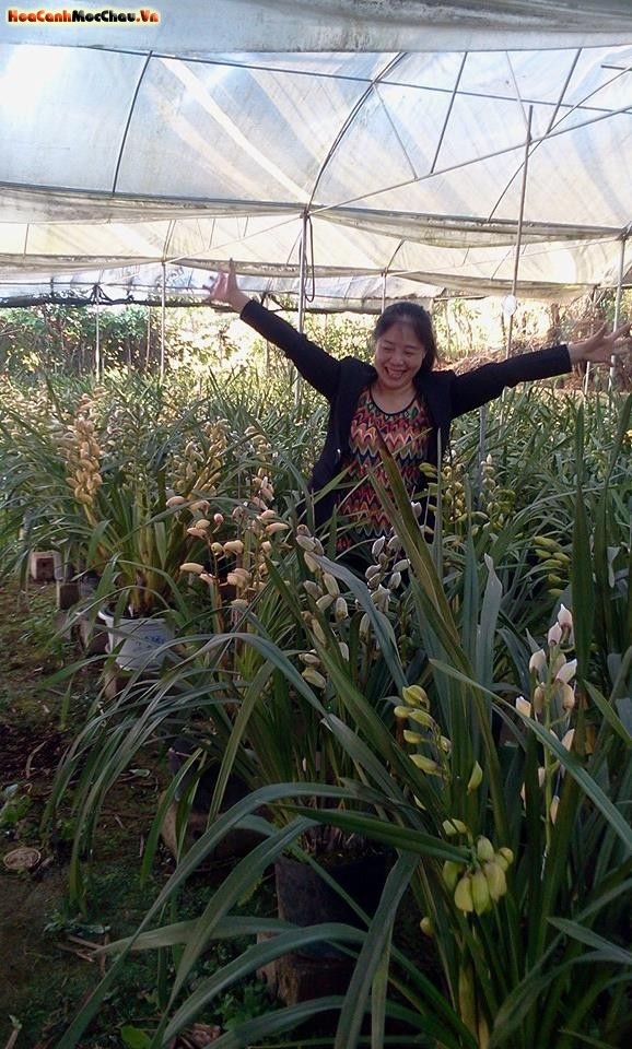 Vườn Lan Cường Cua Xin kính chào quý khách