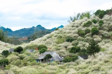  Tour Gép 30/4  , trọn đoàn thứ 7 chủ nhật hàng tuần , tất cả các ngày trong năm 