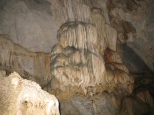   Ngũ động bản ôn 