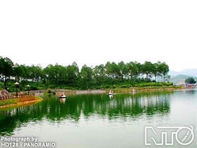  Rừng Thông Bản áng 
