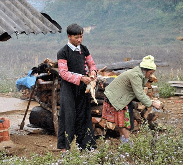  Tết người Mông.