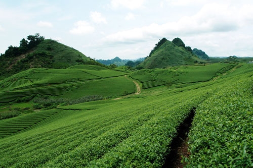 TOUR gép Hà Nội – Mai Châu - MỘC CHÂU – Hà Nội   ( Khởi hành từ Hà Nội