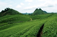 TOUR gép Hà Nội – Mai Châu - MỘC CHÂU – Hà Nội   ( Khởi hành từ Hà Nội