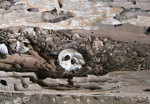  Hang Ma Suối Bàng 