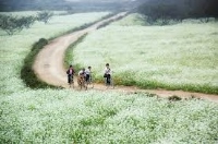TÂY BẮC  ĐIỂM HẸN  MAI CHÂU  -  MỘC CHÂU   2 ngày 1 đêm