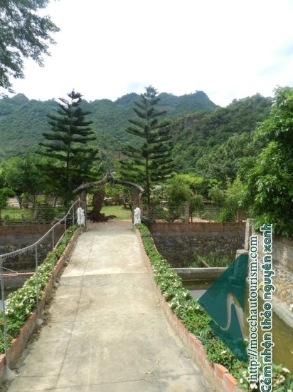 Nhà nghỉ sinh thái Mộc Châu 